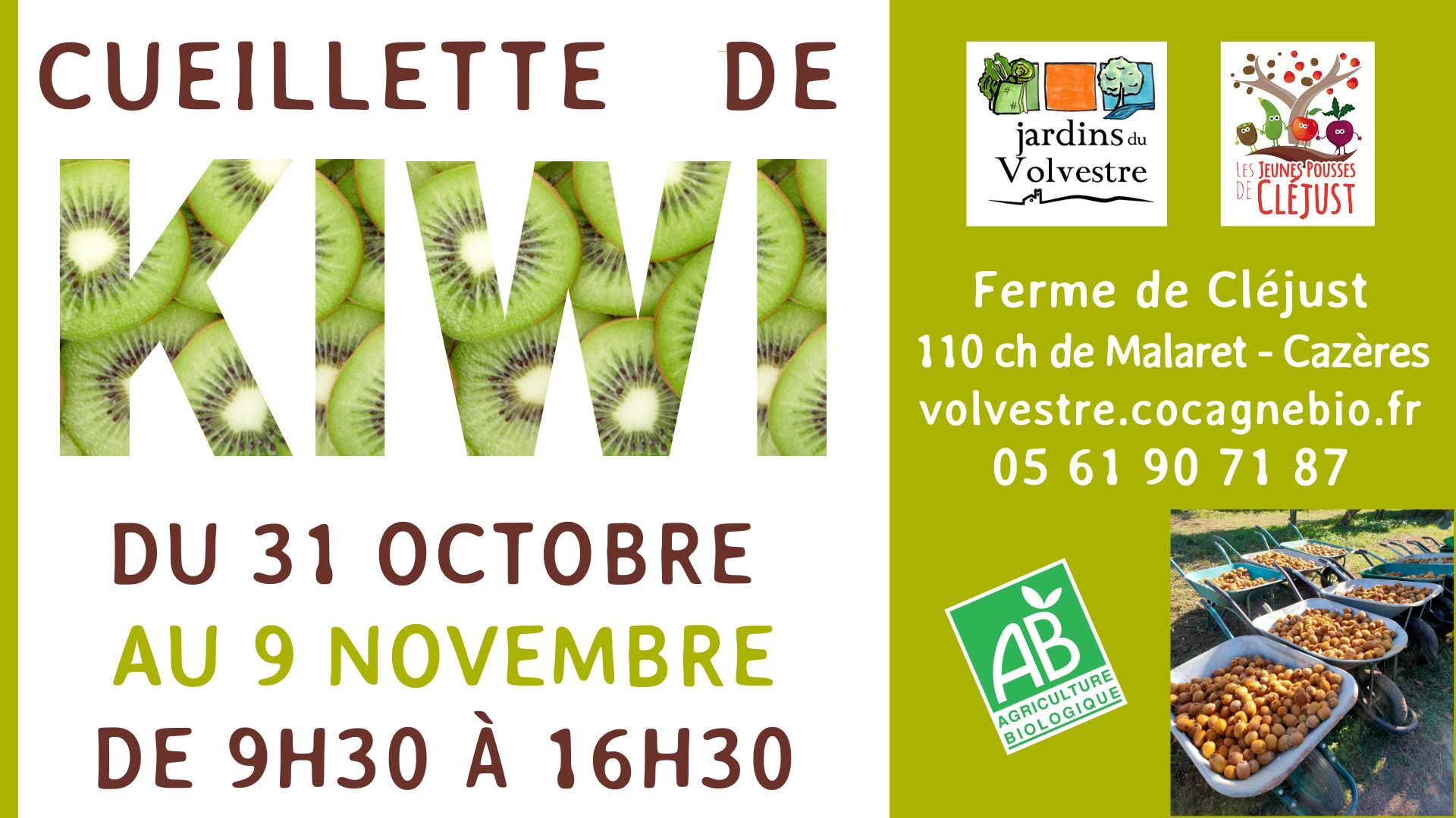 Cueillette de kiwis du 31 octobre jusqu’au 9 novembre 2025
