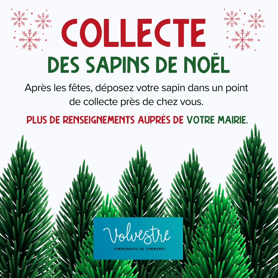Collecte des sapins de Noël