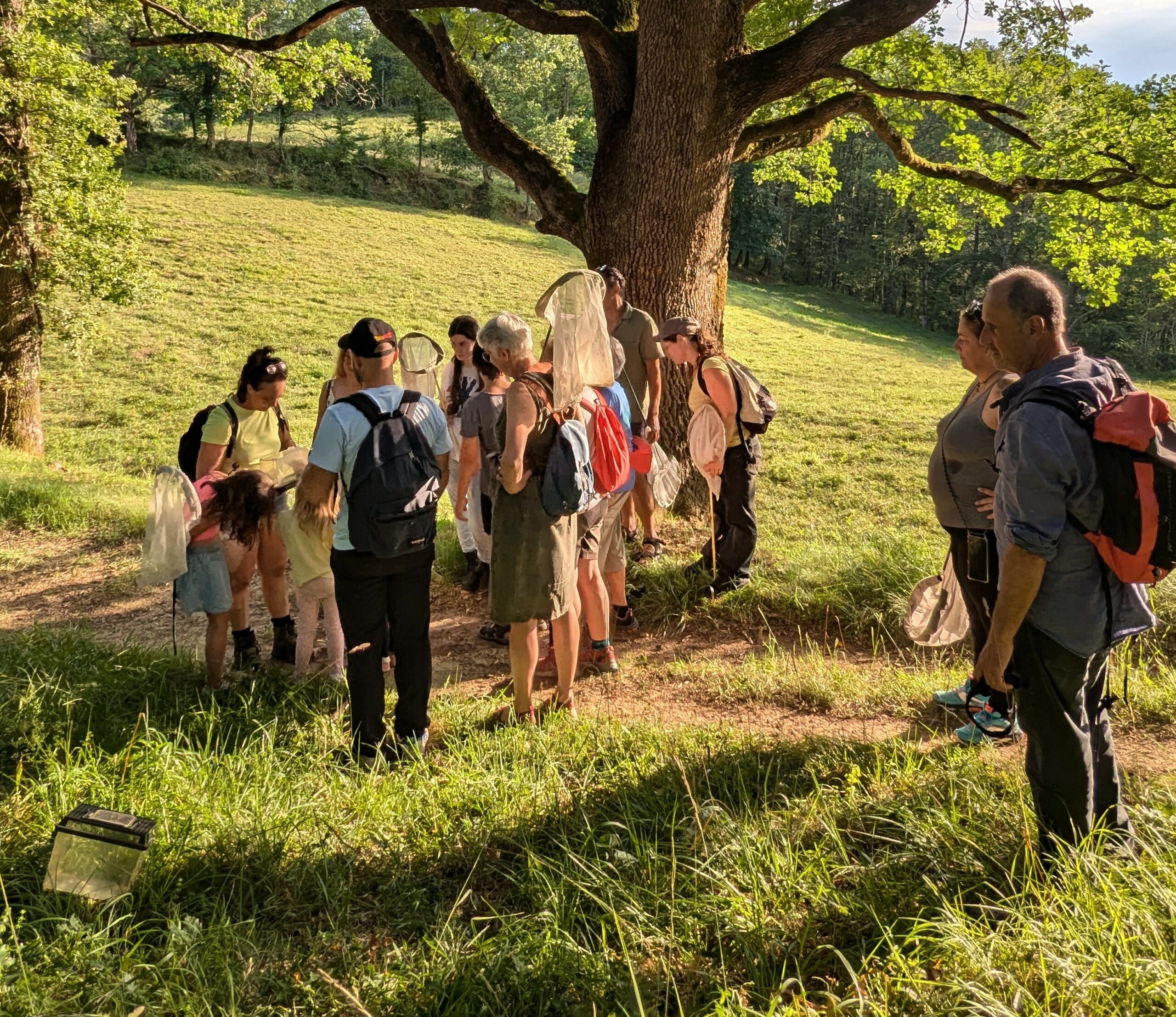 Printemps / Été 2026 en Volvestre : sortez, respirez, découvrez !